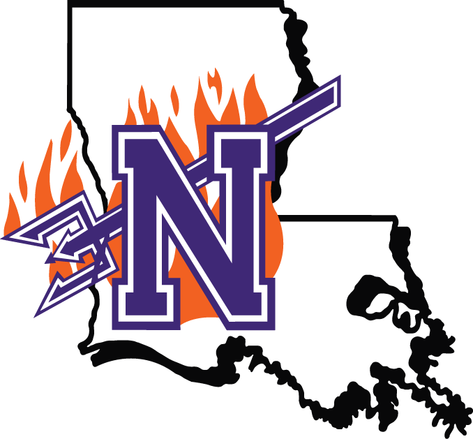 Northwestern State Demons 2000-2007 Primary Logo diy iron on heat transfer